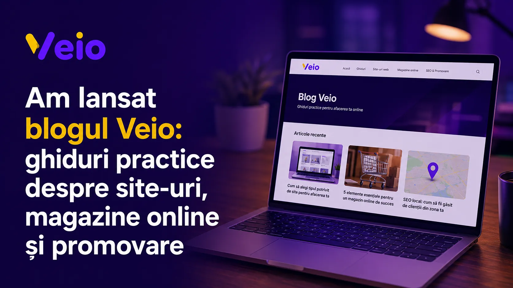 Blogul Veio, ghiduri despre web design și promovare online